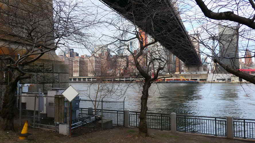 NYC_2020-01-27 08-29-17_P1070806